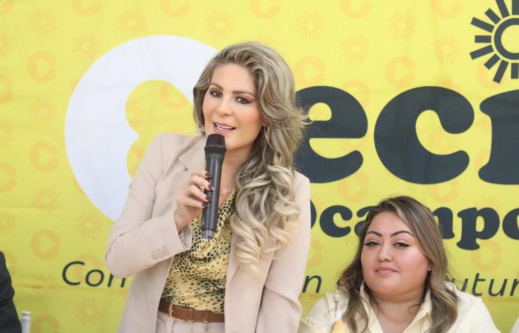 PRD CDMX avanza hacia la reorganización: Nora Arias